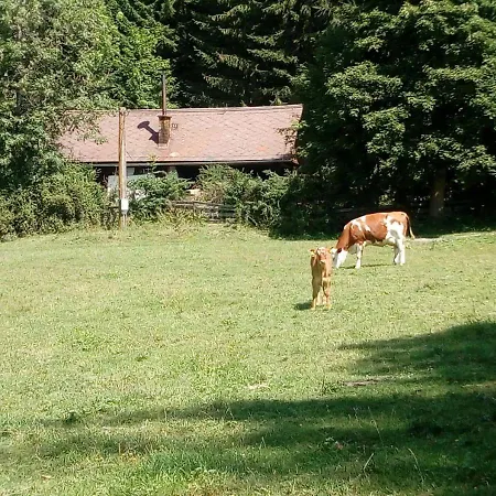 Berghuette Perschlhof Murau